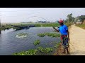 গাজনার বিলে আজকের মাছধরা,, fishing video in beel gazna,, #fishing #hookfishing #মাছধরা