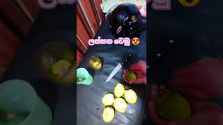 මේවා කාලා ලස්සන වෙමුද ?සුදු වෙමුද ? 😁😋#youtubeshorts #viral #chathu #youtube #minivlog #food 😋😋🥑🥑