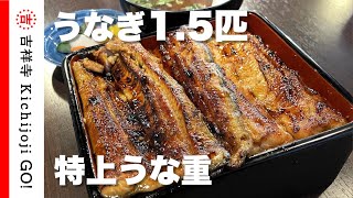 志乃ざき・末広通りのうなぎ専門店。特上うな重は1.5匹分。重箱からはみ出るほどのボリューム