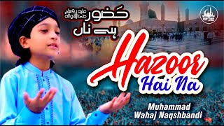 Great New Naat - Muhammad Wahaj Naqshbandi - Hazoor Hai Na - Tip Top Islamic