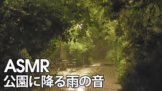 【ASMR/ 環境音】公園に降る雨の音でリラックスする 3時間 | 雨の音、リラクゼーション、自然 | 睡眠、 リラックスする環境音 【環境音bgm】