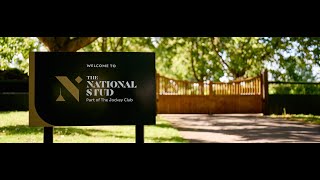 The National Stud | Discover Newmarket  | Racing Media Academy 2024