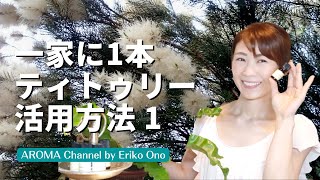 【アロマ・ティトゥリー活用方法①】一家に1本！絶対に損しない精油の１つ、感染症予防、花粉ケアなど簡単でオススメの使い方、プランツコーナーはフィロデンドロンシルバーメタリックーEp.16