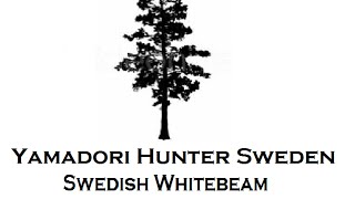 YHS - Swedish Whitebeam