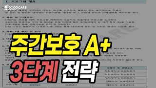 [주간보호 평가] 프로그램의 모든 것