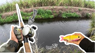 THROWING BIG BAITS IN SMALL CANAL!