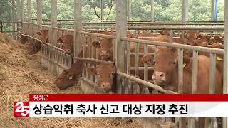 횡성군 상습악취 축사 신고 대상 지정 추진