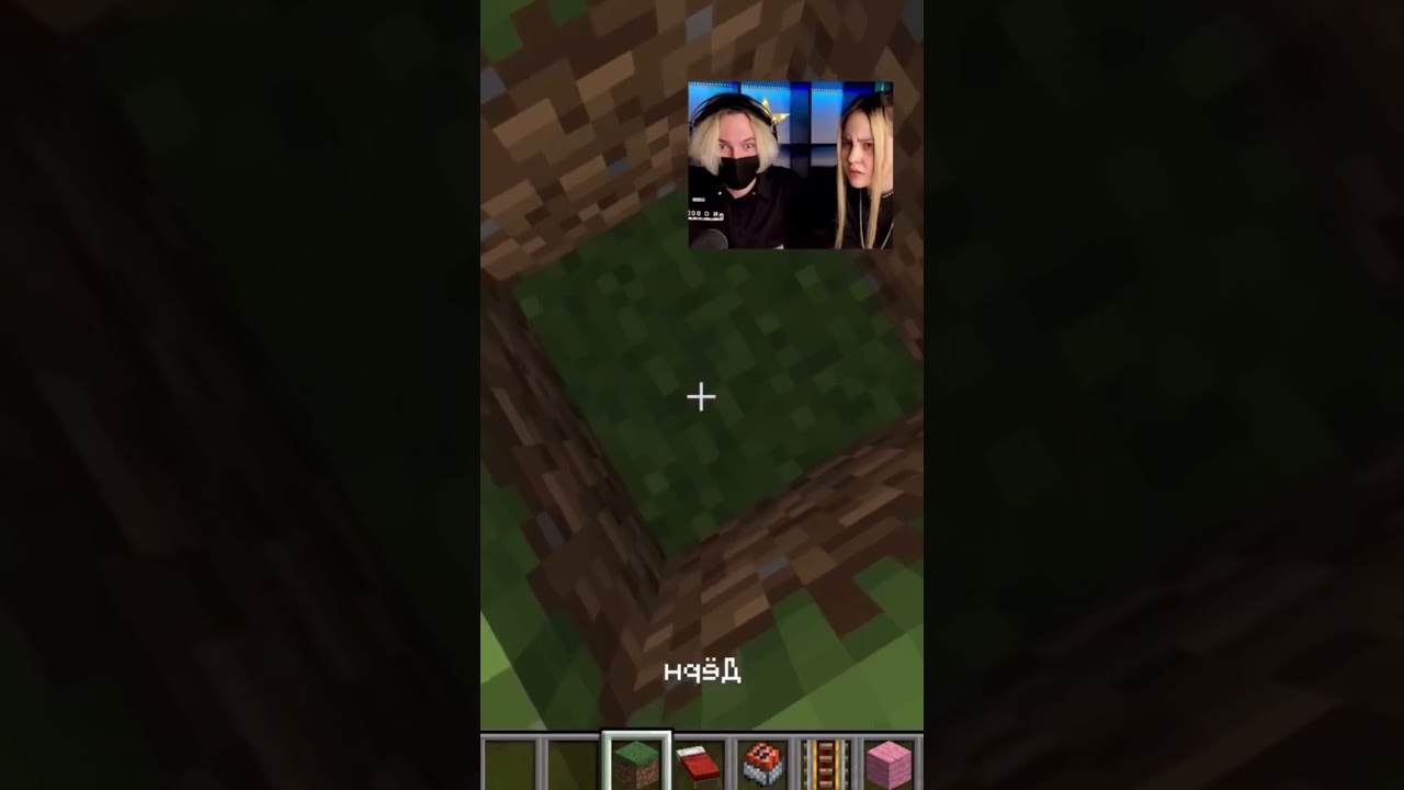 Wait For It рџ ј Shorts Youtube