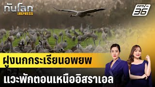 ฝูงนกกระเรียนอพยพแวะพักตอนเหนืออิสราเอล |ทันโลก EXPRESS | 26 ม.ค. 68