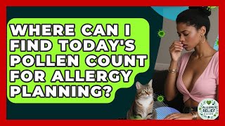 Where Can I Find Today's Pollen Count For Allergy Planning? - Allergy Relief Guide
