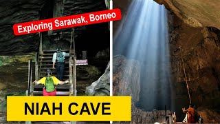 Niah Cave- Exploring cave in Niah National Park (day tour)