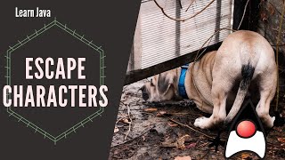 Escape Characters | Learn Java Programming