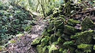 文山綠水古道.綠水文山古道帶隊嚮導. Lushui wenshan trail