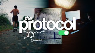 How To Stop Wasting Your Life │ The Identity Shifting Protocol