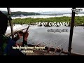 SPOT CIGANDU HASILNYA MANTAP||MANCING CIRATA