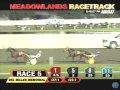 bee a magician world record del miller memorial the meadowlands racetrack