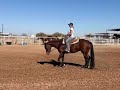 2021 aqha mare