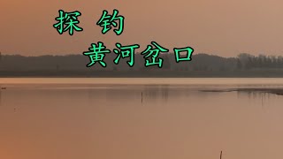 黄河岔口处探钓鳊鱼记