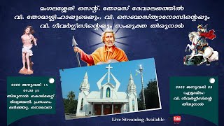 St.Thomas Church Mangalassery Thirunal Kodikayattam | 14-01-2022