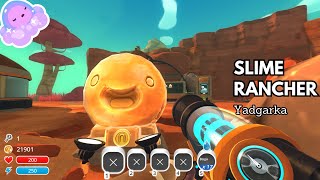 Продала всё, что было ⇢ Slime Rancher: #9