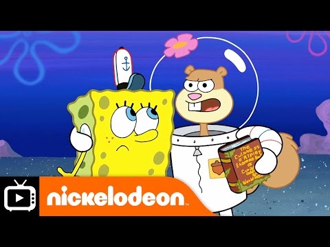 Spongebob Squarepants Gone National No Spongebob Day - vrogue.co