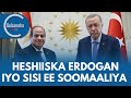 Erdogan iyo Sisi oo ku heshiiyey taageerada Soomaaliya | Qubanaha VOA