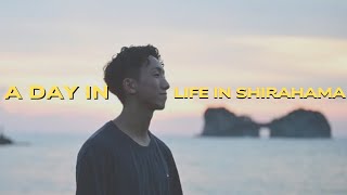 毎日海通いする白浜生活/VLOG