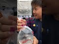 1回500円の金魚すくいで１匹すくったおまけにもう１匹出目金って😹太っ腹すぎるホームセンター、そりゃ息子も喜びます🤩 shorts きんぎょ ホームセンター 金魚すくい