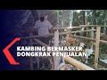 Kambing Bermasker Dongkrak Penjualan