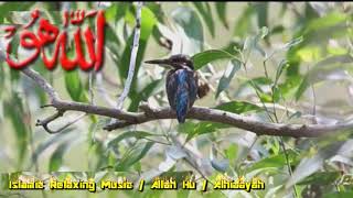 ISLAMIC RELAXING MUSIC / ALLAH HU / ALHIDAYAH