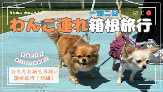 【犬連れ箱根旅行おすすめプラン】おもち一歳の誕生日お祝い箱根旅行（前編）／箱根神社〜箱根遊覧船〜芦ノ湖テラス〜箱根園 水族館へ