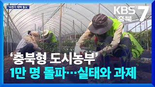 ‘충북형 도시농부’ 1만 명 돌파…실태와 과제 / KBS  2024.09.19.