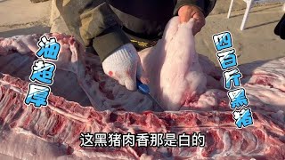 热气腾腾的四百斤大黑猪，肥肉漂白瘦肉鲜肉，这吃一口不得迷糊啊