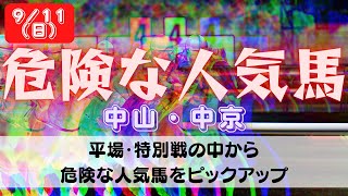 【中央競馬予想】9月11日(日)平場・特別レースの危険な人気馬ピックアップ