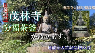 分福茶釜は群馬県の茂林寺にあります。それよりも、浅草寺にある二尊仏の左側と全く同じ藤原正儀が造った観音像があります。この辺は日本遺産に登録されてる！【ただのおっさんの休日残業】