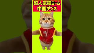 これ知ってる人いる？ダンス猫ミームmeme! #shorts