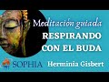 MEDITACIÓN: RESPIRANDO CON EL BUDA. Con Herminia Gisbert