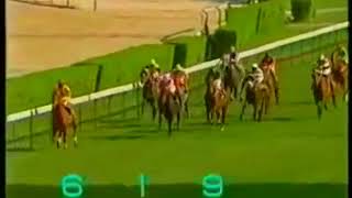 1988 The Fakei Cup - Sweeping Win (橫掃) - 雷誠