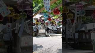 #いわき #夏 #夏詣 #福島 #神社 #風鈴  #japan #shrine #windchime