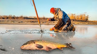 ЛОВИЛ КАРАСЯ, НО ПОДОШЛИ ОНИ... САЗАН ПРЁТ, АЖ УДОЧКА ТРЕЩИТ! Зимняя рыбалка 2025