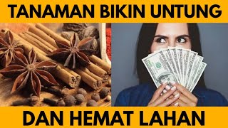 Unik: 3 Varietas Ini Bikin Untung dan Hemat Lahan