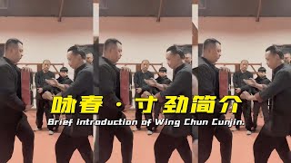 咏春·寸劲简介/詠春·寸勁簡介/Brief introduction of Wing Chun Cunjin.