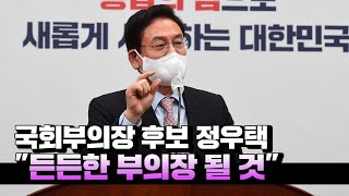 與, 국회부의장 후보에 정우택 선출...\