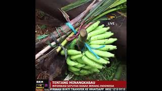 SEJARAH TENTANG MINANGKABAU