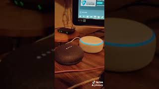 GOOGLE vs ALEXA fight😁😂 || Alexa smart speaker | Google assistant | Google Vs Alexa Vs Siri