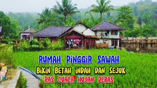 Hidup di desa, life in the village,⁉️ ke indahan alam pesawahan,hujan deras bikin betah ,sejuk