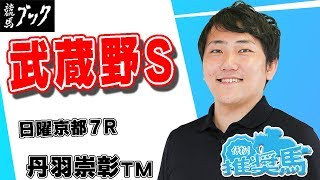 【競馬ブック】丹羽崇彰ＴＭの推奨馬（武蔵野ステークス土曜東京11R 2017年11月11日/日曜京都７Ｒ 11月12日）