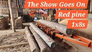 Orr Sawmills Timber Tales is live!