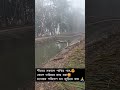 শীতের সকাল😍 winter morning মনোমুগ্ধকর পরিবেশ foryou 🙏🙏