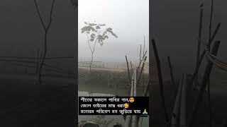 শীতের সকাল😍#winter morning #মনোমুগ্ধকর #পরিবেশ #foryou 🙏🙏